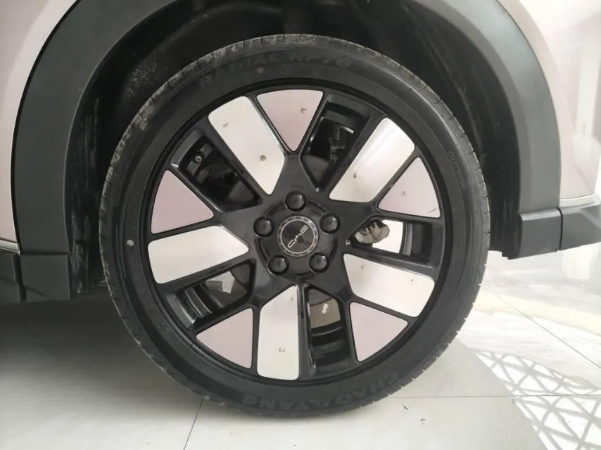 BYD 2021 Dolphins 401km Knight Edition Automatic Gear 9