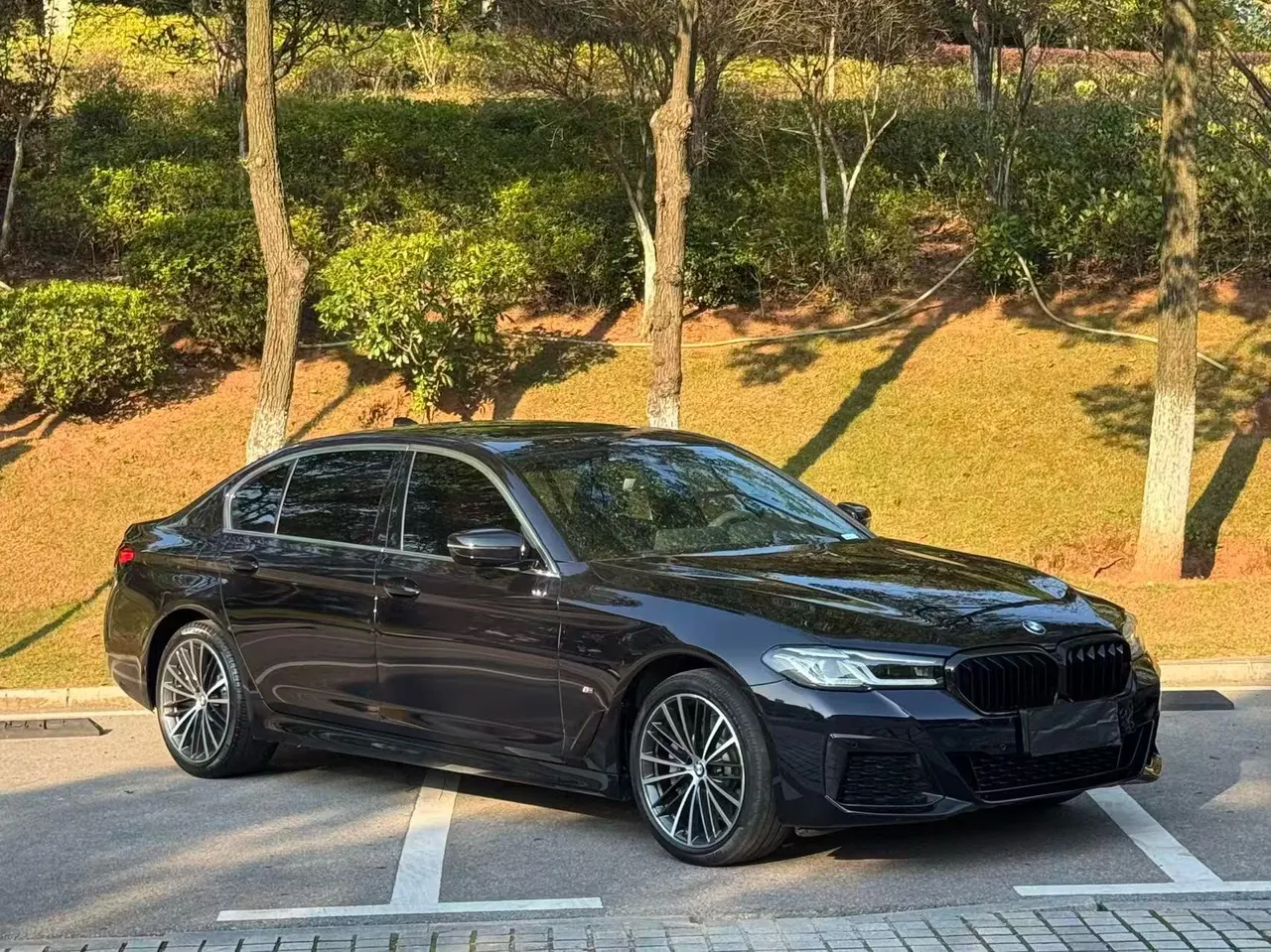 BMW 5 Series 2021 530Li 2.0T Leading M Sports Suit Automatic Gear 3