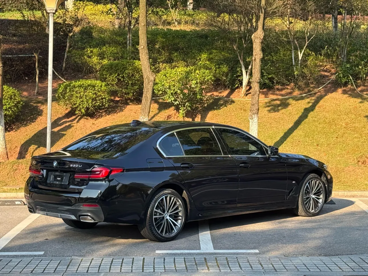 BMW 5 Series 2021 530Li 2.0T Leading M Sports Suit Automatic Gear 9