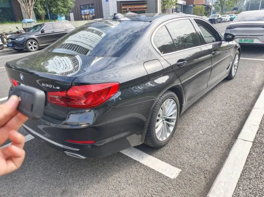 BMW 5 series new energy 2020 530Le 2.0T mileage upgraded luxury package automatic gear 6