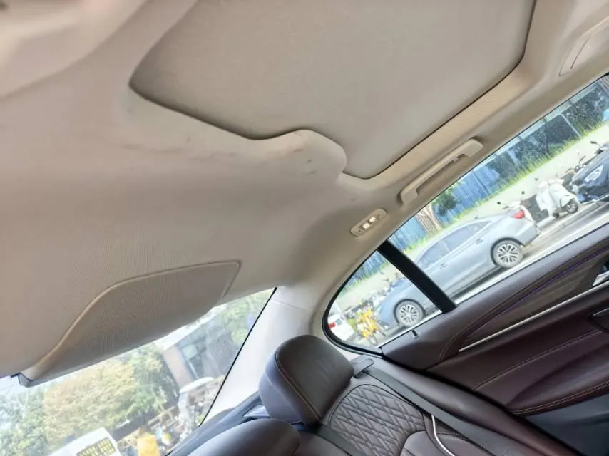 BMW 5 series new energy 2020 530Le 2.0T mileage upgraded luxury package automatic gear 9