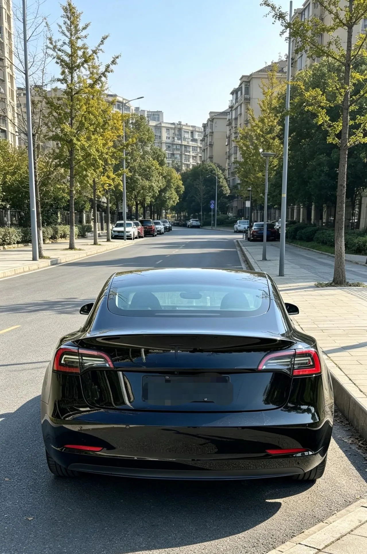 Tesla 2021 Model 3 Standard Endurance Rear Drive Upgraded Automatic Gear 2