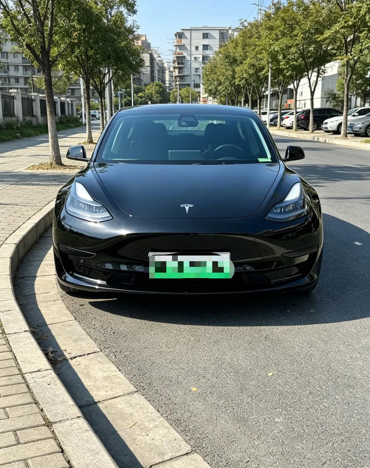 Tesla 2021 Model 3 Standard Endurance Rear Drive Upgraded Automatic Gear 5