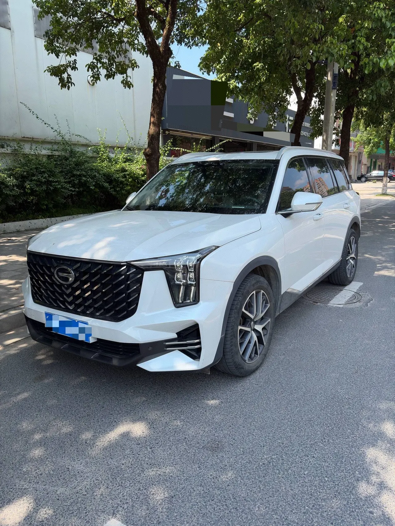 Chuanqi 2022 GS8 2.0TGDI Two-Drive Deluxe Zhilian Edition Seven-seat Automatic Gear - View 1