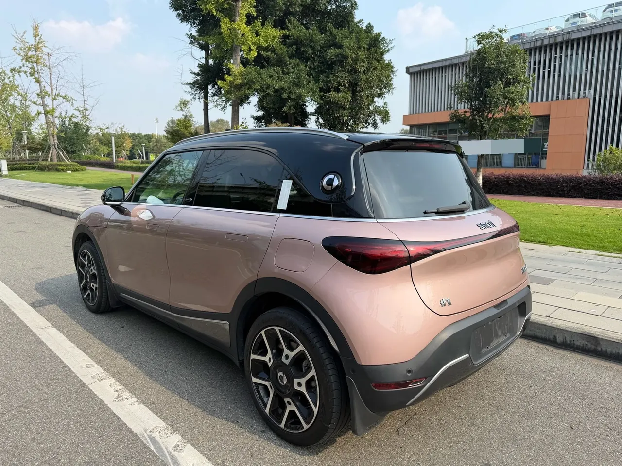 Smart 2022 Smart #1 Pulse Cardiac Edition Automatic Gear 3