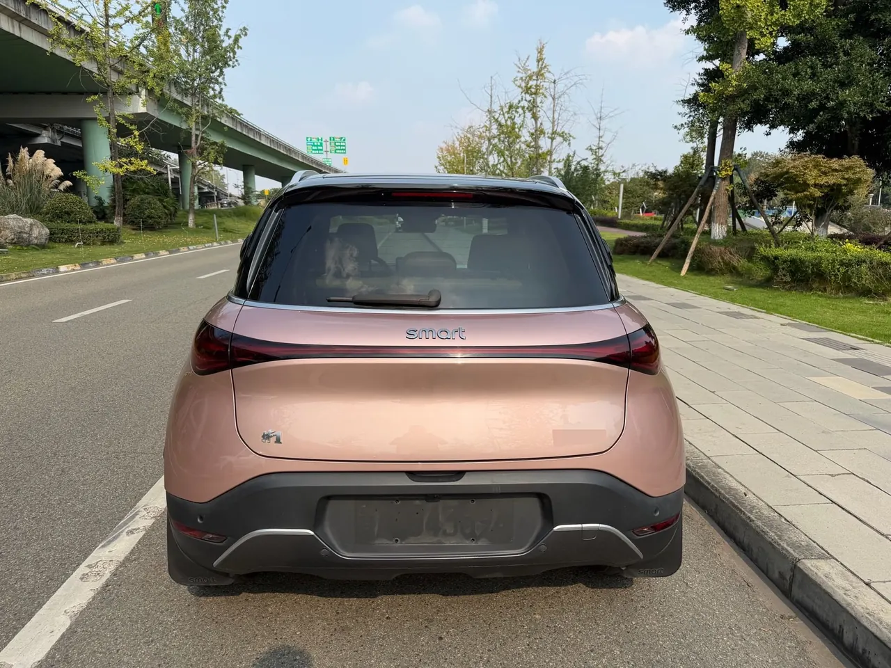 Smart 2022 Smart #1 Pulse Cardiac Edition Automatic Gear 4