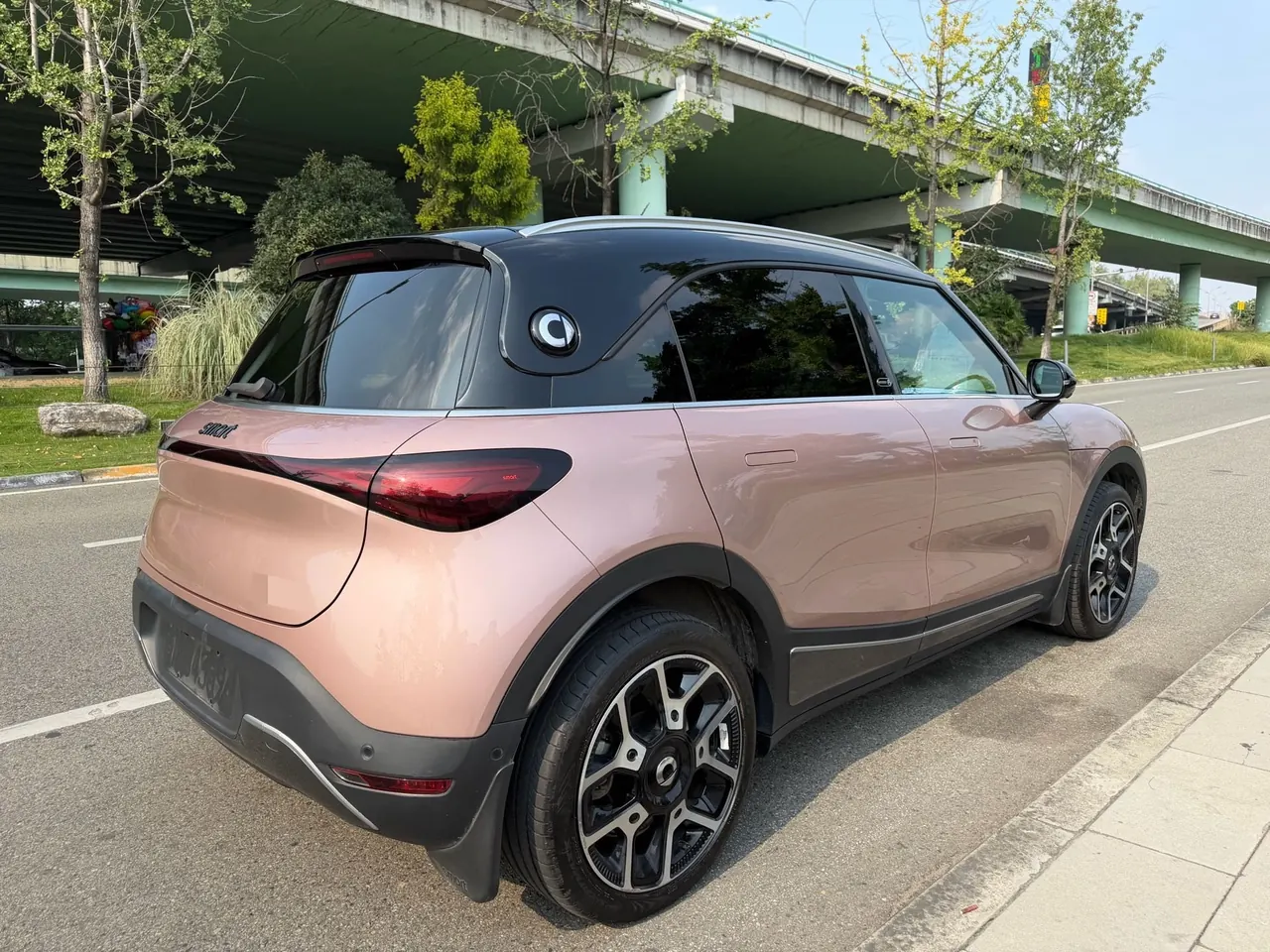 Smart 2022 Smart #1 Pulse Cardiac Edition Automatic Gear 5