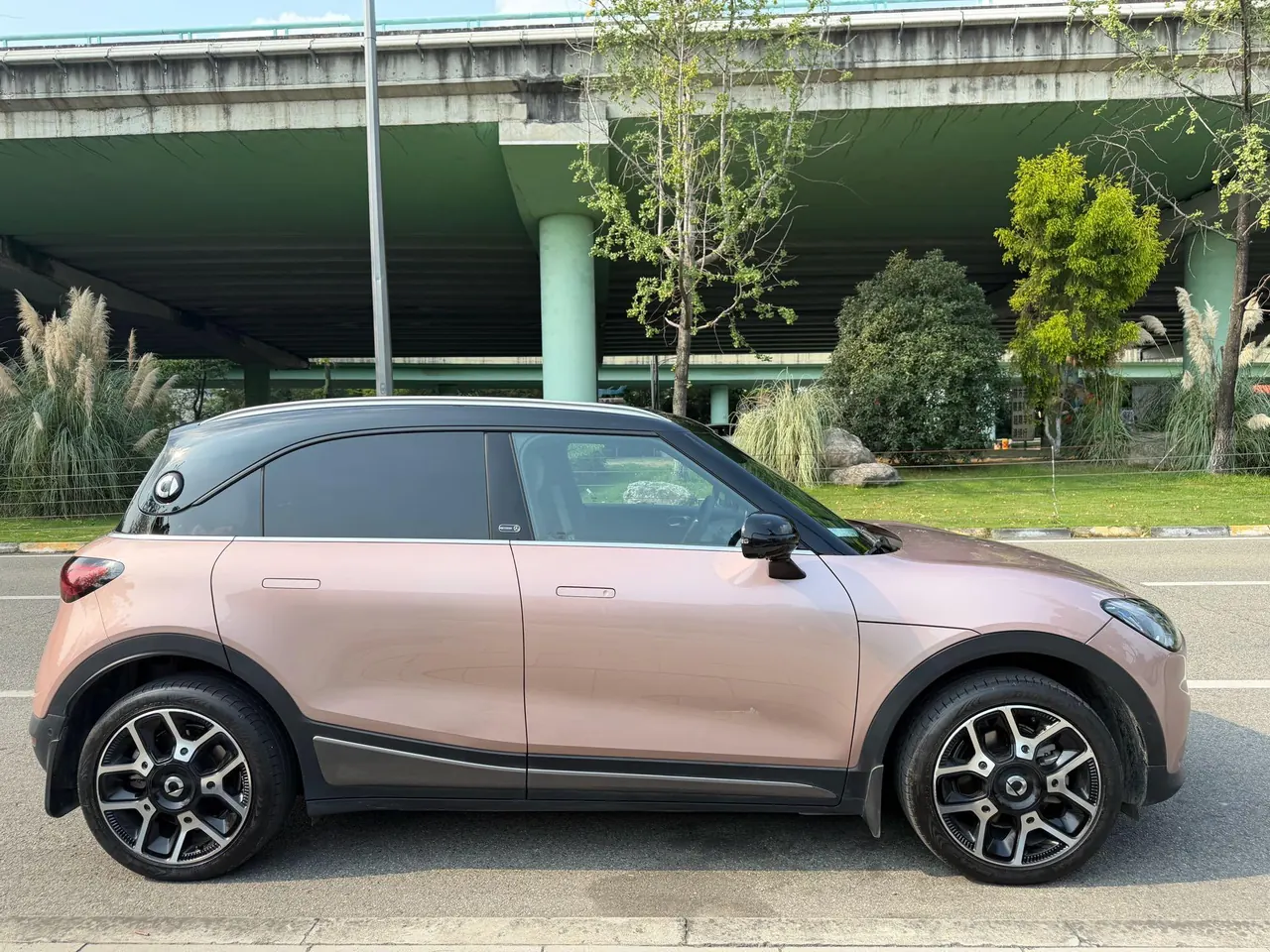 Smart 2022 Smart #1 Pulse Cardiac Edition Automatic Gear 6