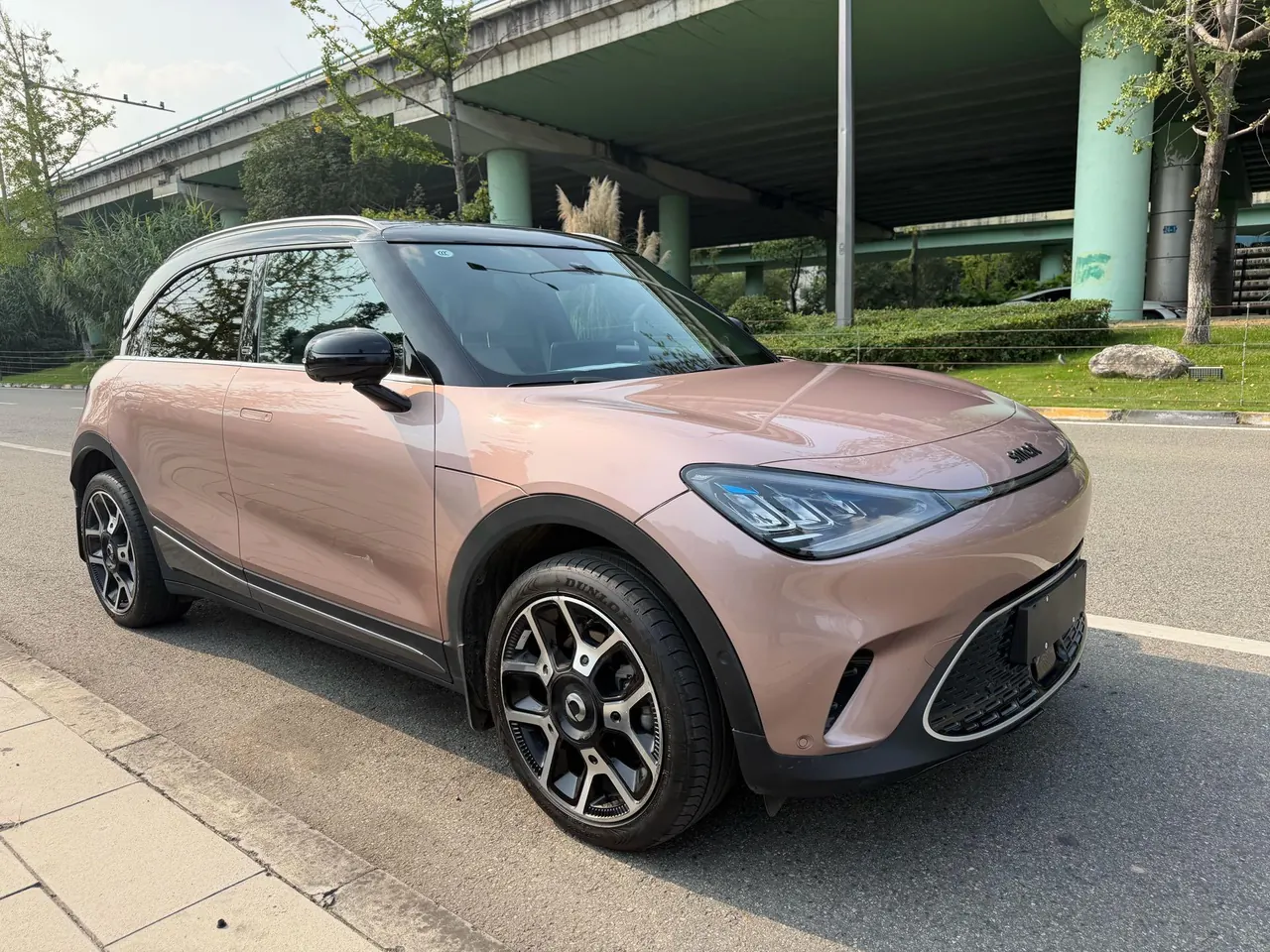 Smart 2022 Smart #1 Pulse Cardiac Edition Automatic Gear 7