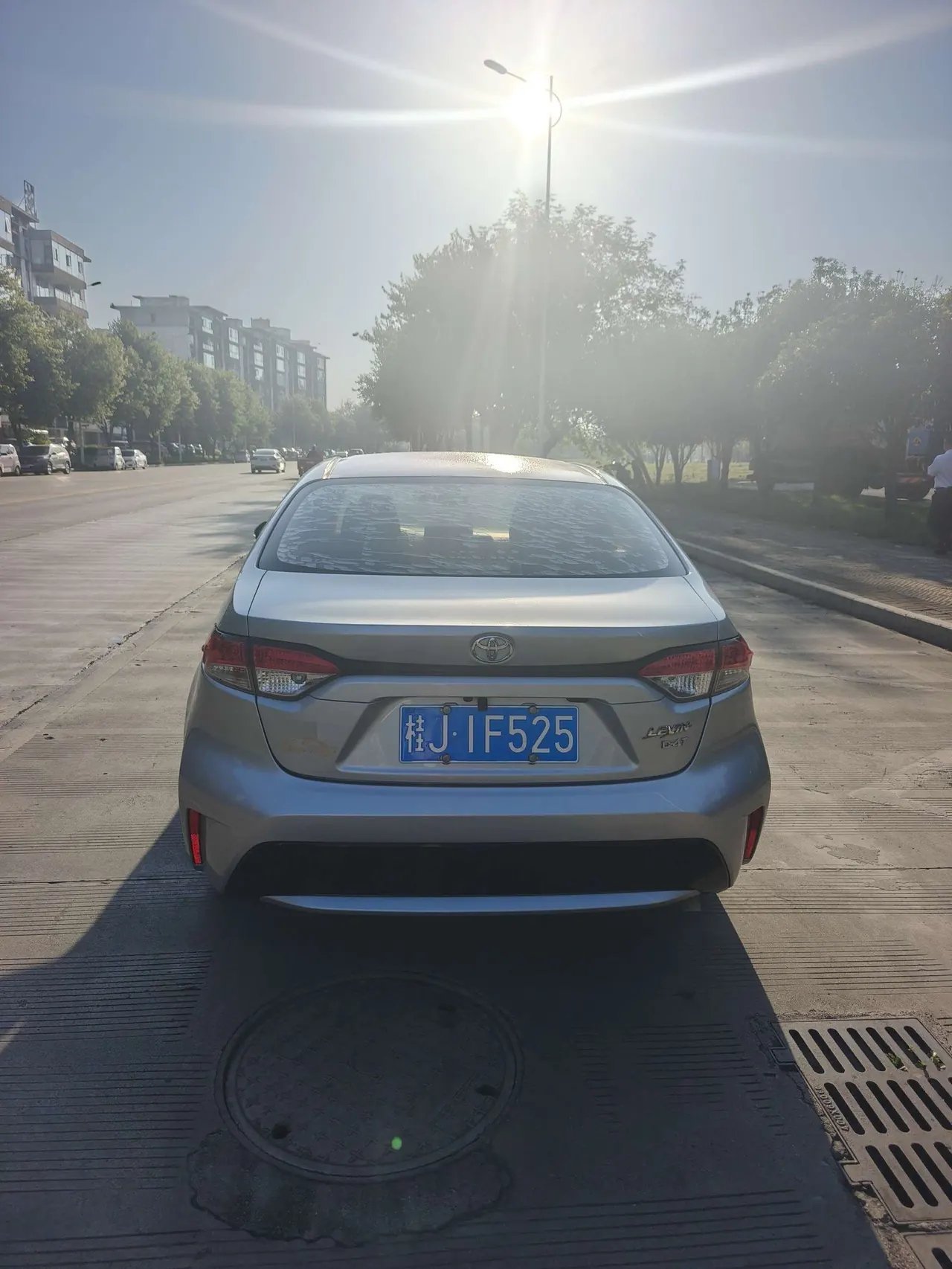 Toyota 2022 Lei Ling 1.2T Stepless 185T Deluxe Automatic Gear 3