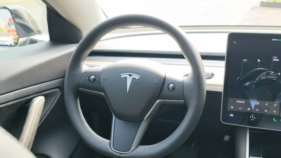 Tesla 2020 Model 3 Standard Endurance Rear Drive Upgraded Automatic Gear 6