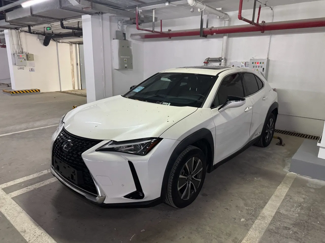Lexus UX New Energy (Imported) 2020 UX 300e Pure and Enjoy Edition Automatic Gear - View 1