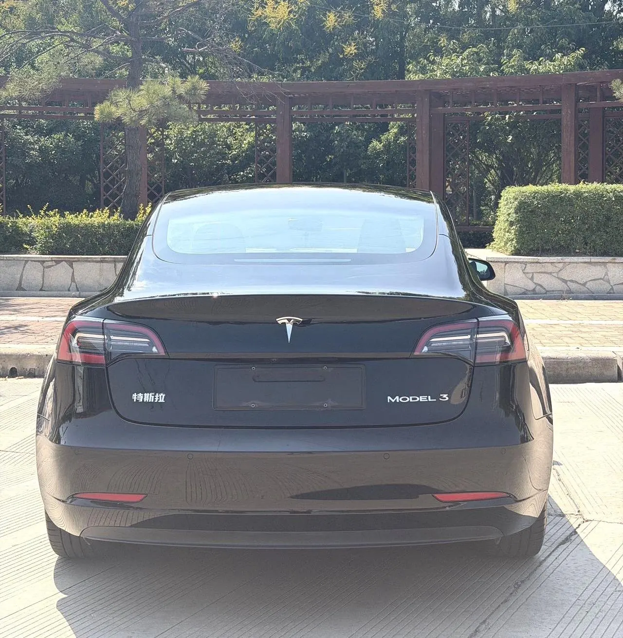 Tesla 2023 Model 3 Rejuvenation Edition Rear Wheel Drive Automatic Transmission 8