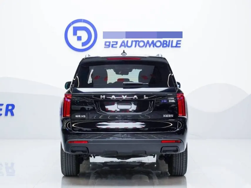Haval 2025 H5 2.0T 4-wheel drive diesel pilot version automatic gear 3