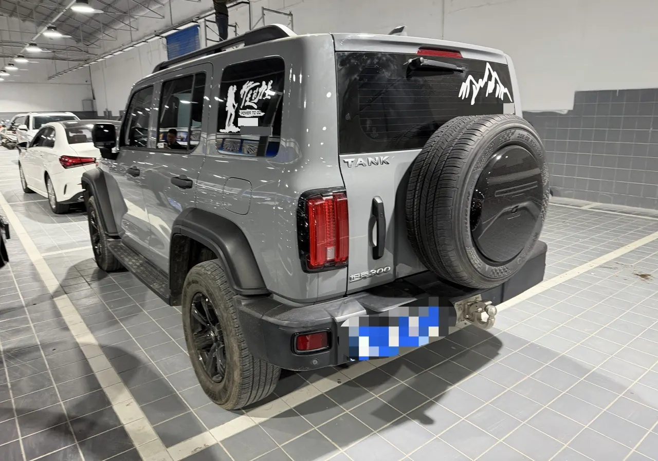 Tank 2023 Tank 300 2.0T Off-road Conqueror Automatic 4