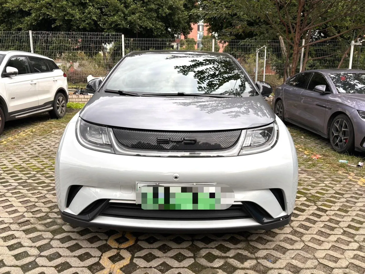 BYD 2021 Dolphin 405km Fashion Edition Automatic 2