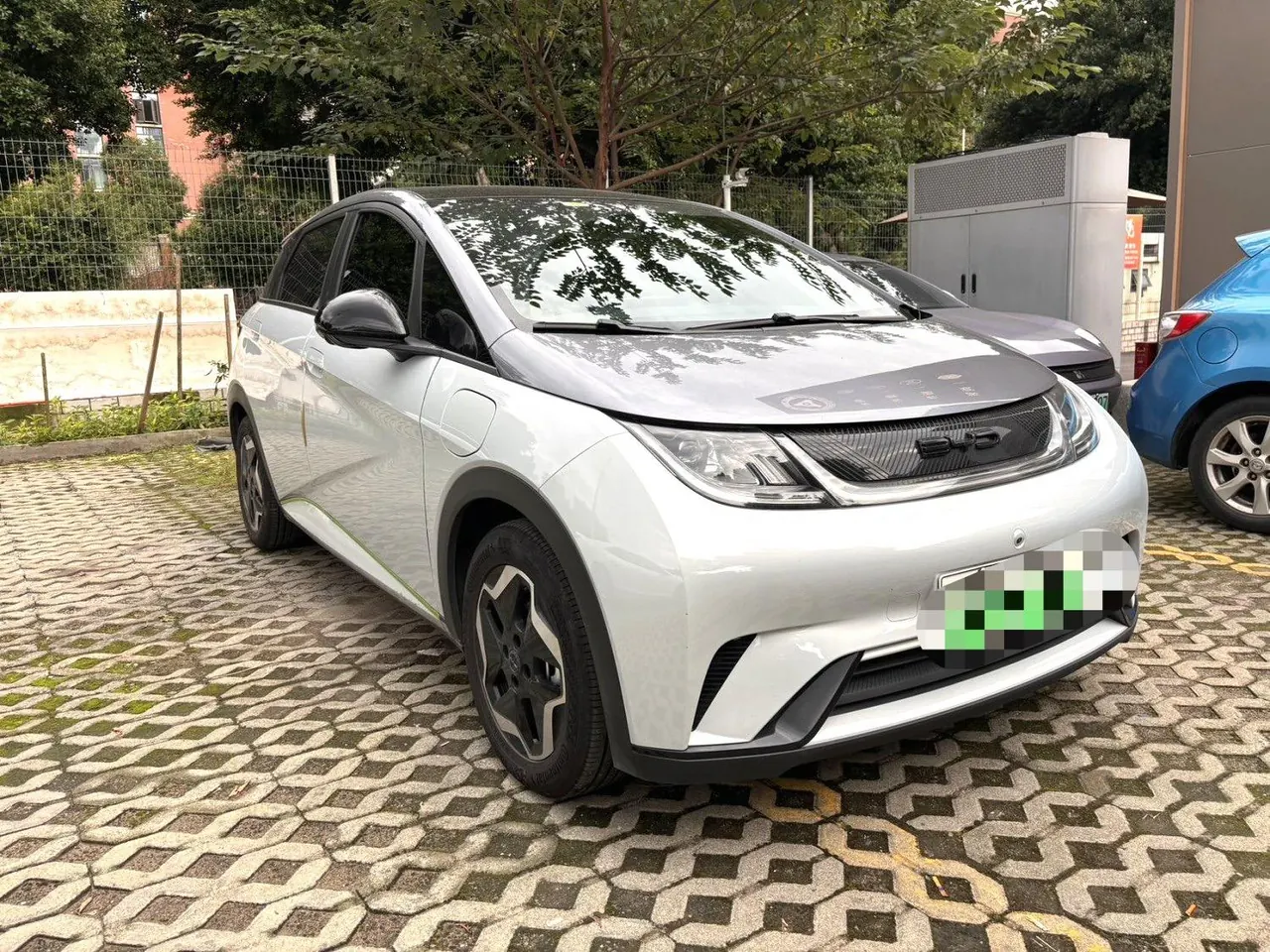 BYD 2021 Dolphin 405km Fashion Edition Automatic 3
