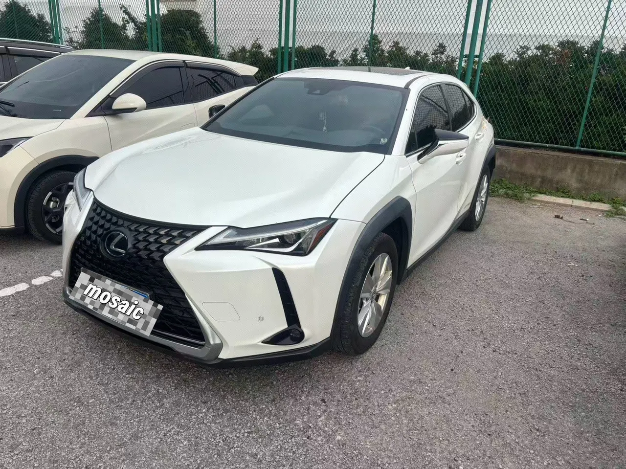 Lexus UX (Imported) 2020 UX260h 2.0 Stepless Exploration and Interesting Edition Automatic Gear - View 1