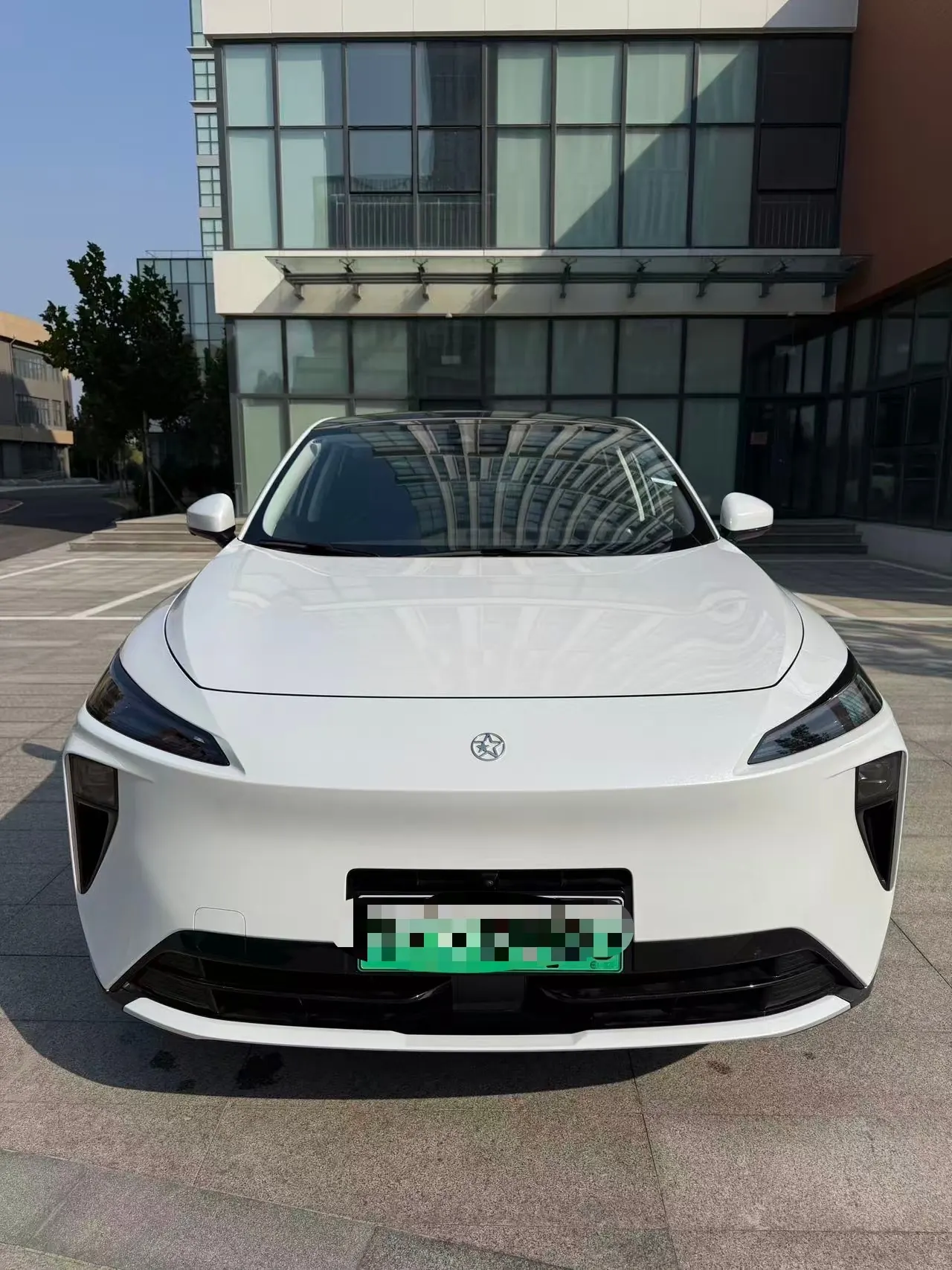 Venucia 2025 Large V DD-i Super Hybrid 1.5T 150km Killer Whale Travel Edition Automatic Gear 4
