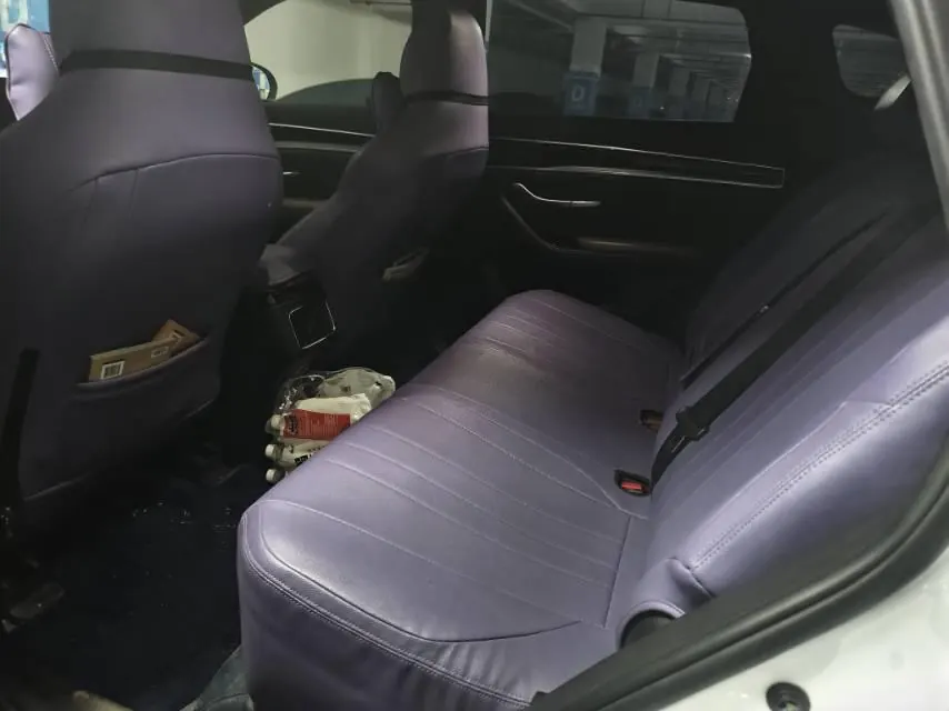 BYD 2020 Song PLUS 1.5T Luxury Automatic Gear 6