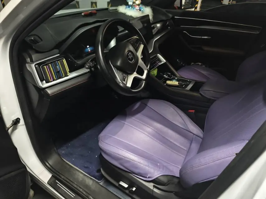 BYD 2020 Song PLUS 1.5T Luxury Automatic Gear 8