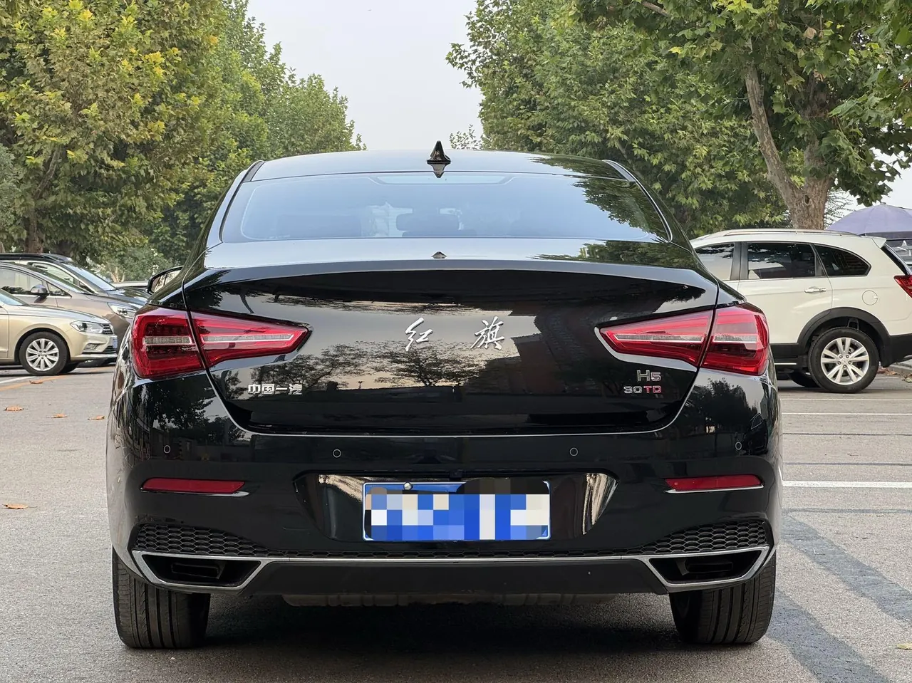HongQi 2022 H5 1.5TD Flag Rhyme Edition (Revised) Automatic Gear 4