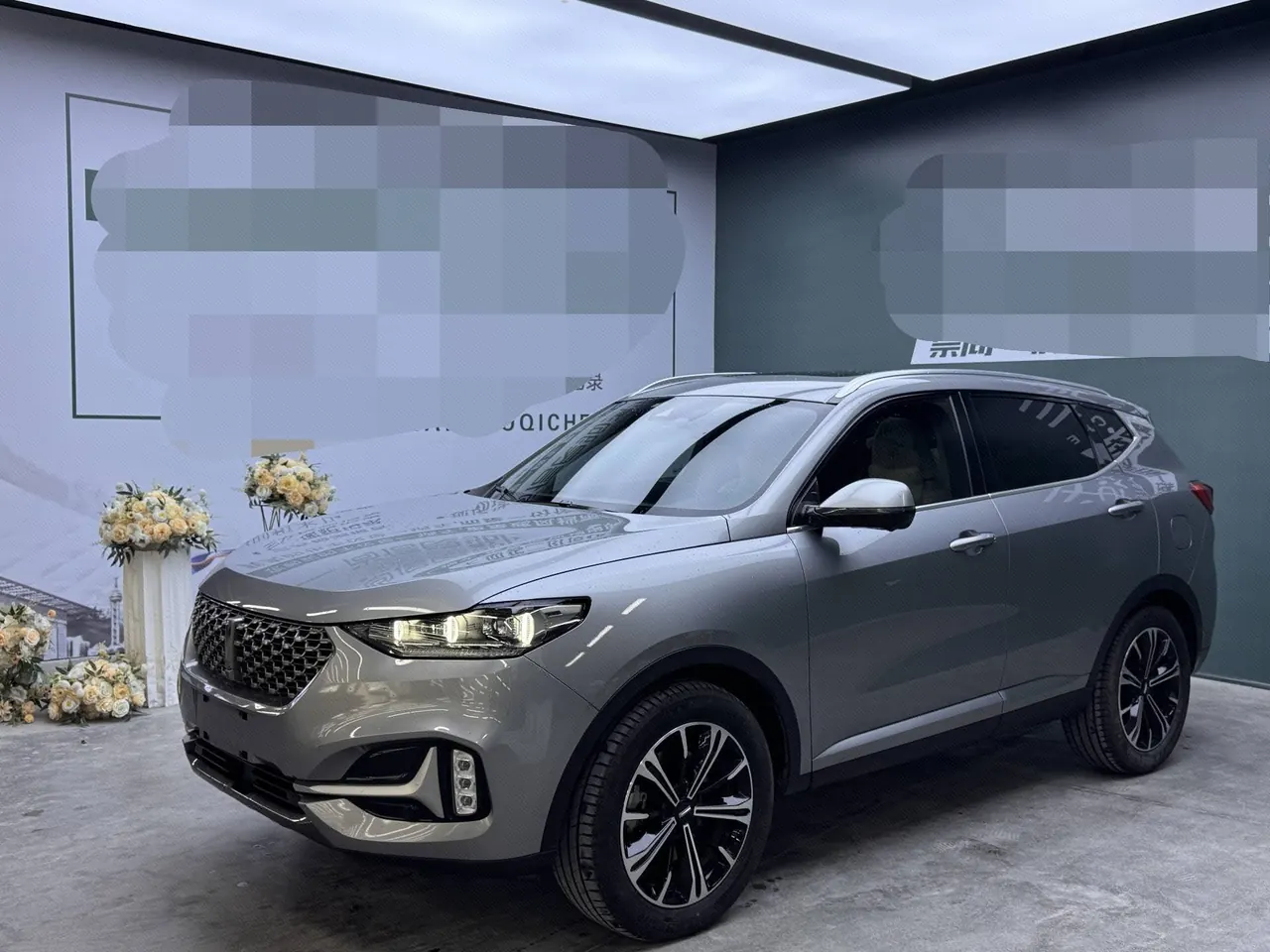 WEY 2021 VV6 2.0T Two-Drive Smart Automatic Gear - View 1