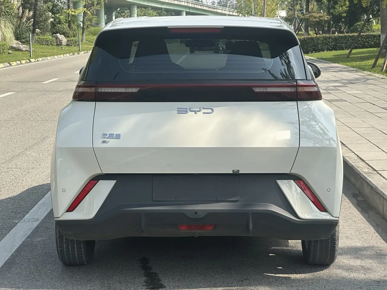 BYD 2024 Seagull Glory Edition 405km Flying Edition Automatic Gear 5
