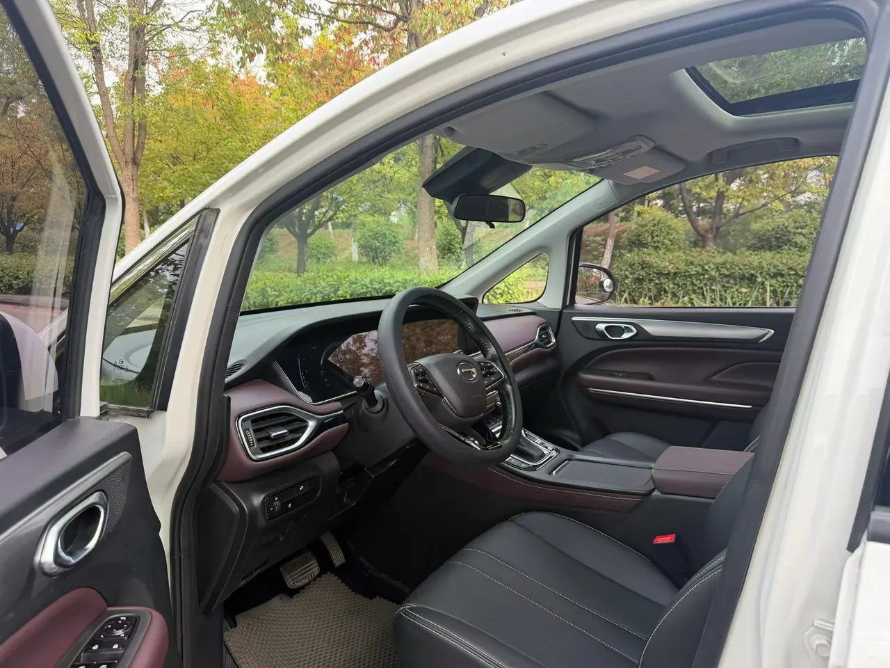 Chuanqi 2021 M6 PRO 1.5T 270T Deluxe Edition Automatic Gear 8