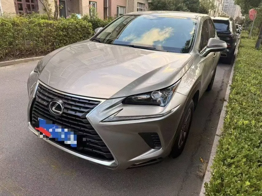 Lexus NX (Imported) 2020 NX200 2.0 Stepless Automatic Gear - View 1