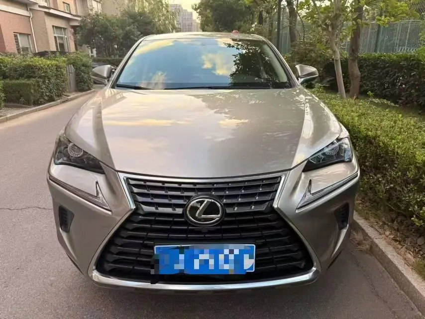 Lexus NX (Imported) 2020 NX200 2.0 Stepless Automatic Gear 2