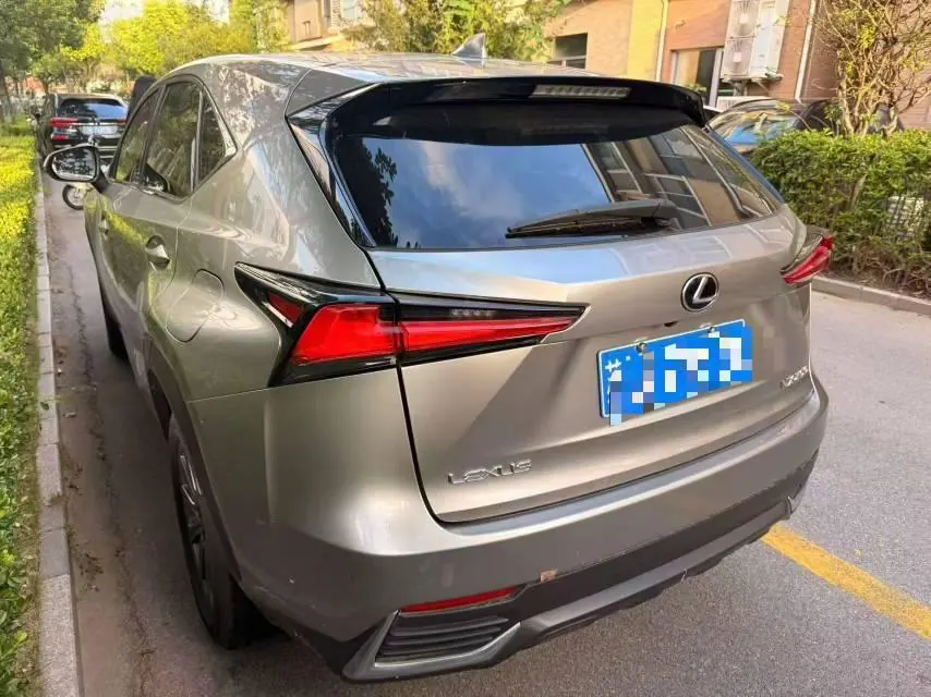 Lexus NX (Imported) 2020 NX200 2.0 Stepless Automatic Gear 3