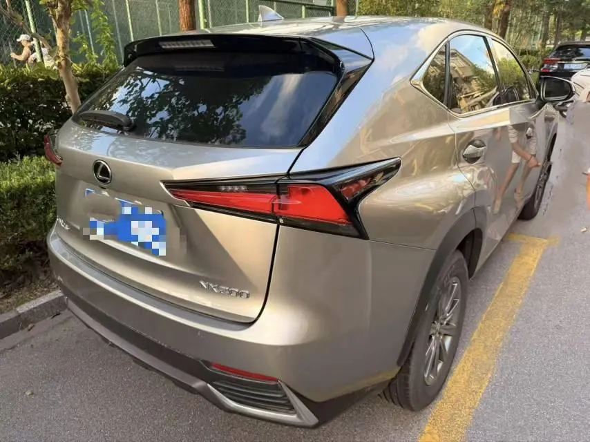 Lexus NX (Imported) 2020 NX200 2.0 Stepless Automatic Gear 4
