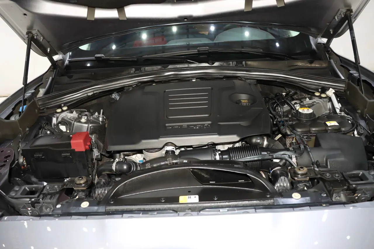 Jaguar F-PACE (Imported) 2020 F-PACE 2.0T Flag Edition Automatic Gear 19