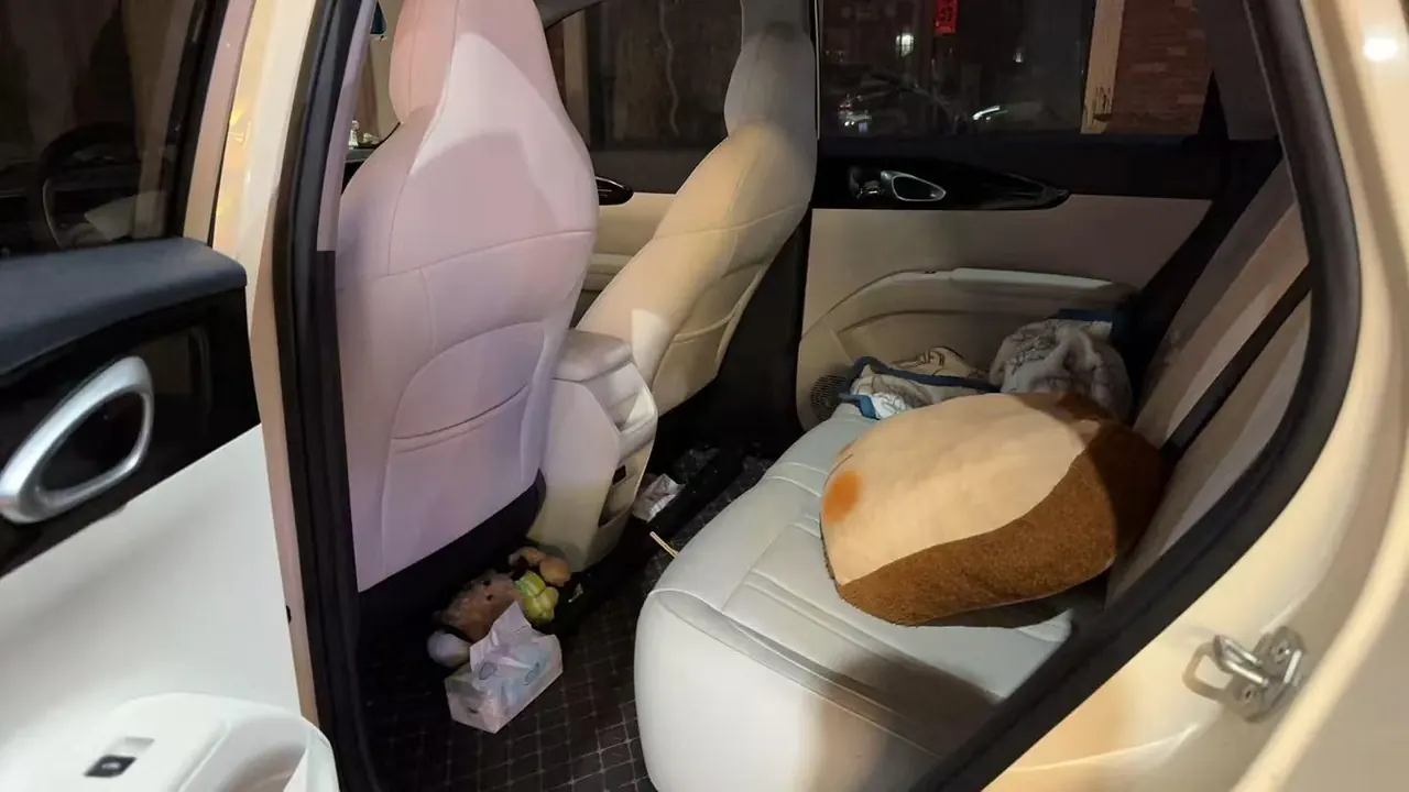 Geely 2025 Star Wish 310km Dream Edition Automatic Gear 3