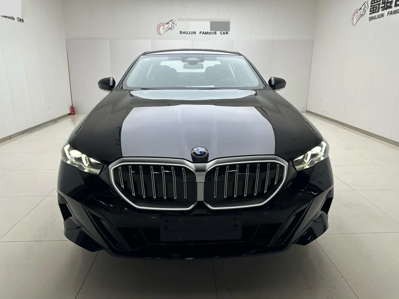 BMW 5 Series 2026 530Li 48V 2.0T Leading Luxury Suit Automatic Gear 5
