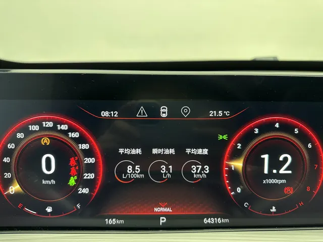 Xingtu 2022 Model 1.6T Versailles Edition Automatic Gear 9
