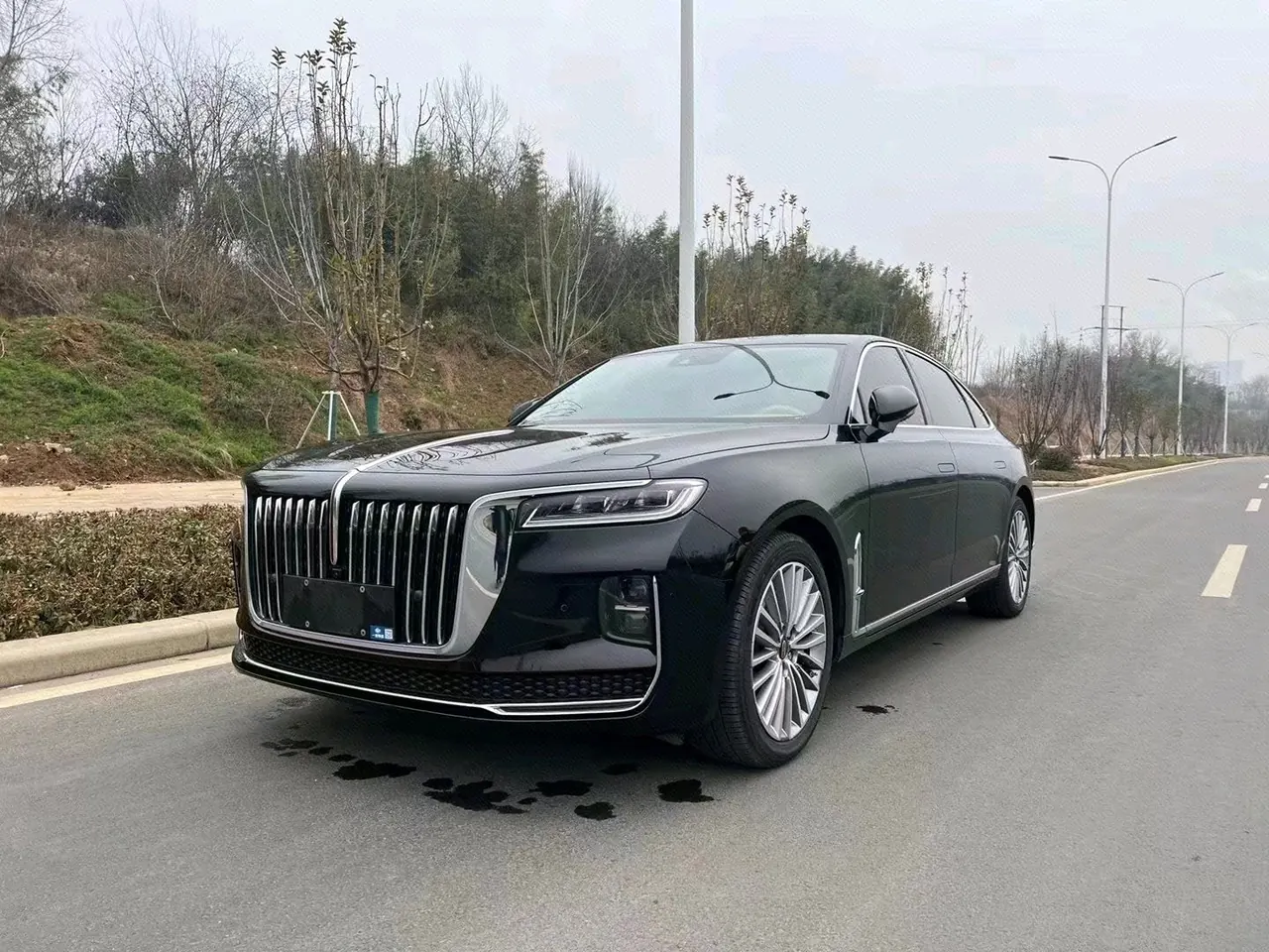 HongQi 2020 H9 48V 2.0T Zhilian Flag Edition Automatic Gear - View 1