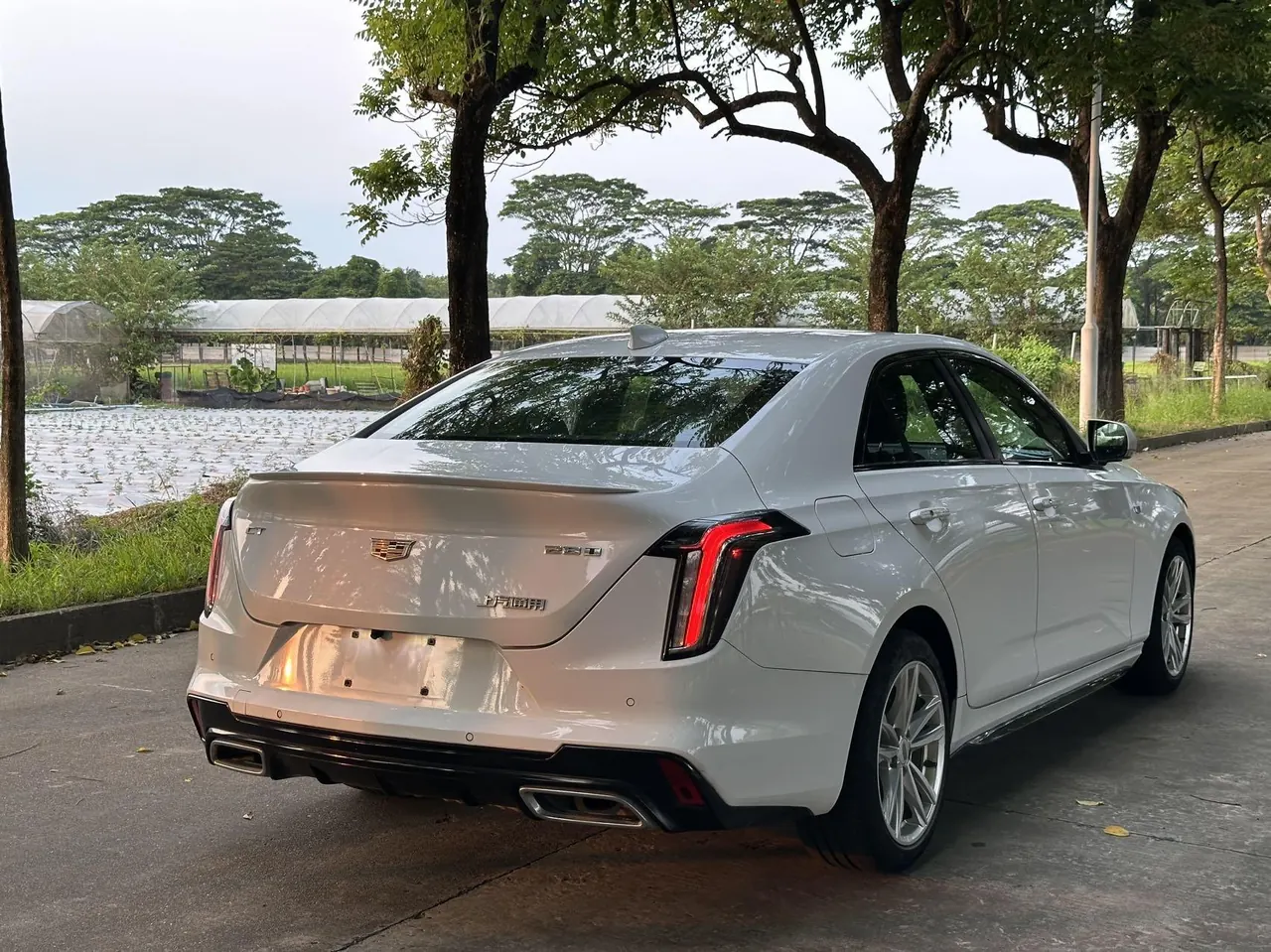 Cadillac 2021 CT4 2.0T 28T fashion (fashion) automatic gear 9