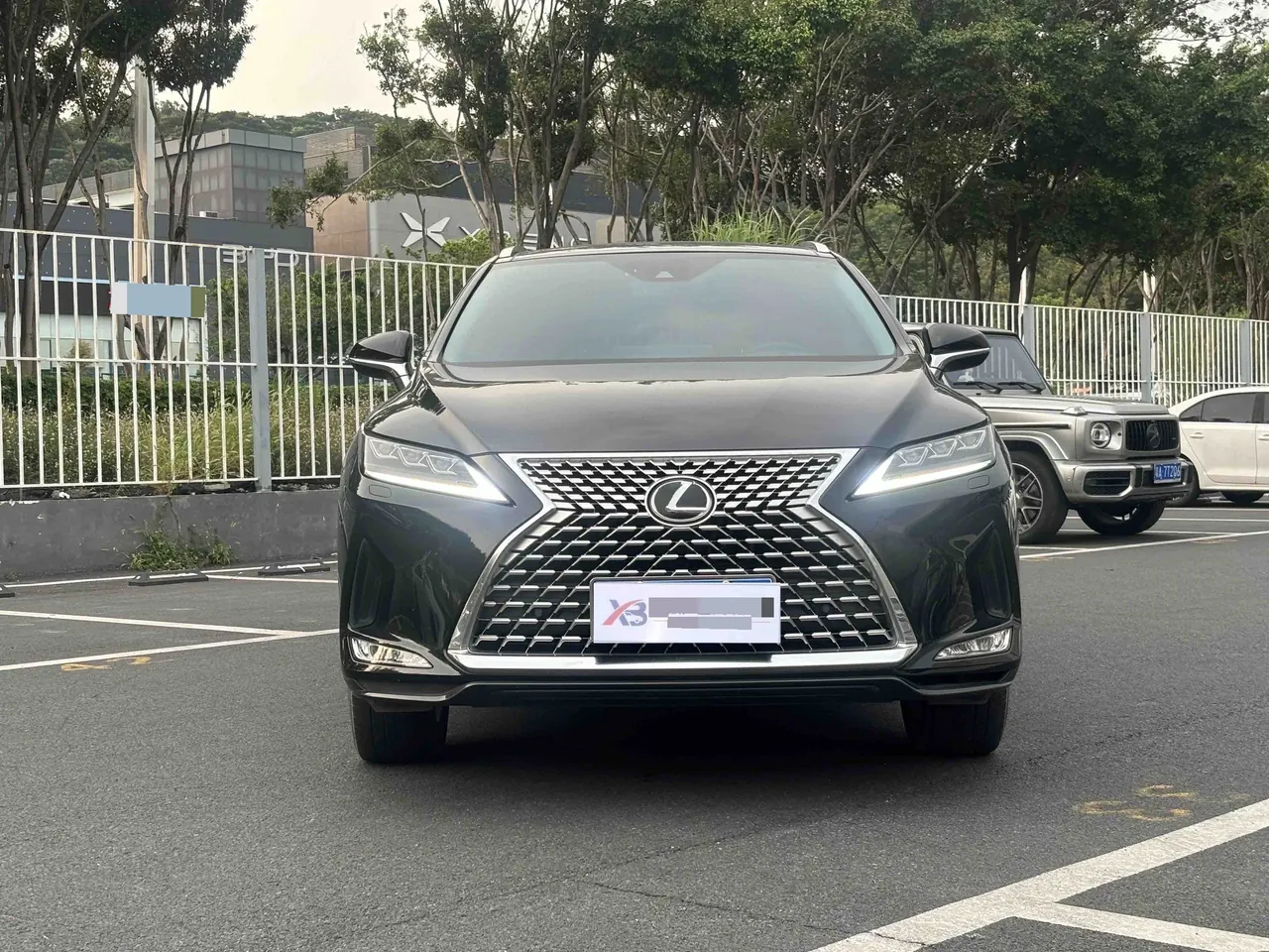Lexus RX (Imported) 2021 RX300 2.0T Four-wheel Drive Special Edition Automatic Gear 2
