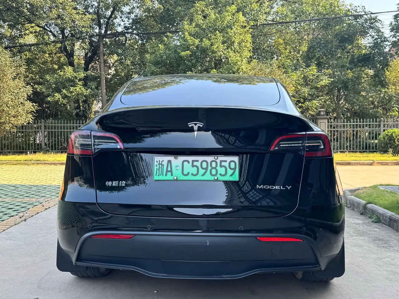 Tesla 2023 Model Y rear-wheel drive version automatic transmission 9