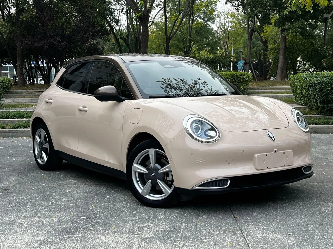 Ora 2021 Good Cats 400km Standard Endurance Athena Edition Ternary Lithium Automatic Gear 2