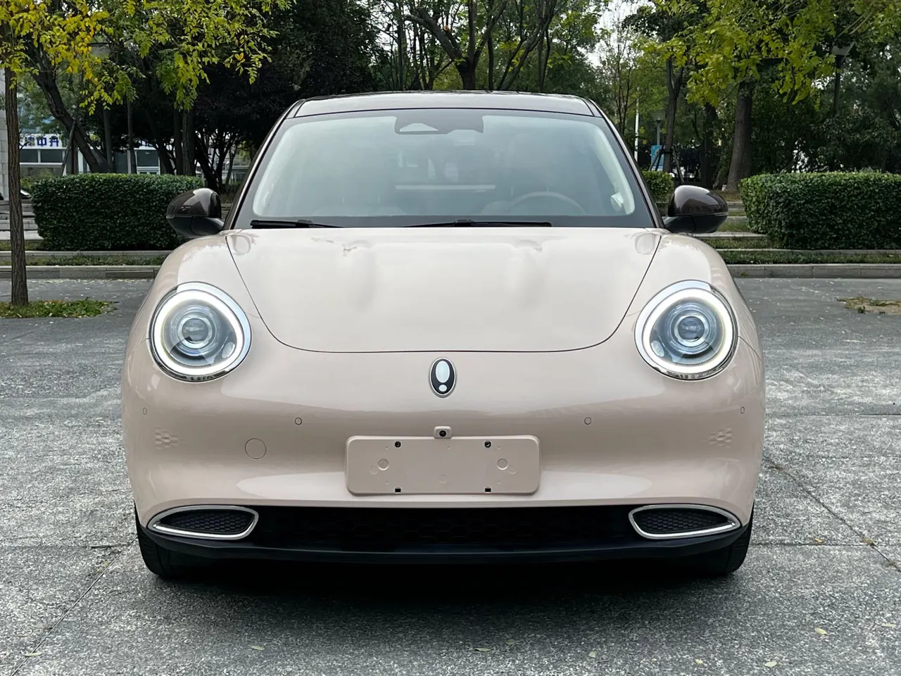 Ora 2021 Good Cats 400km Standard Endurance Athena Edition Ternary Lithium Automatic Gear 3