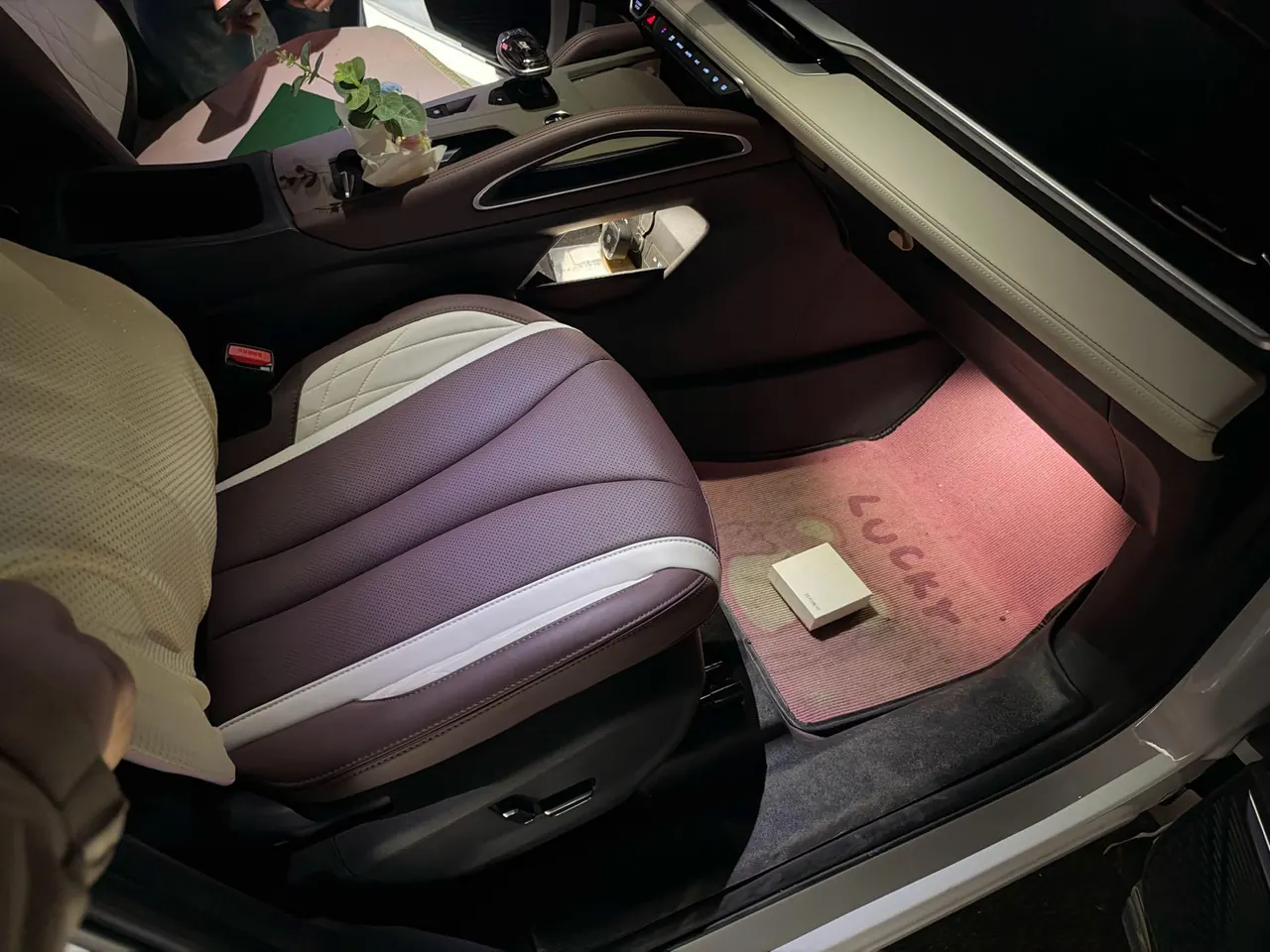Geely 2024 XingyueL (Monjaro) 2.0TD high-power two-wheel drive cloud version automatic gear 6