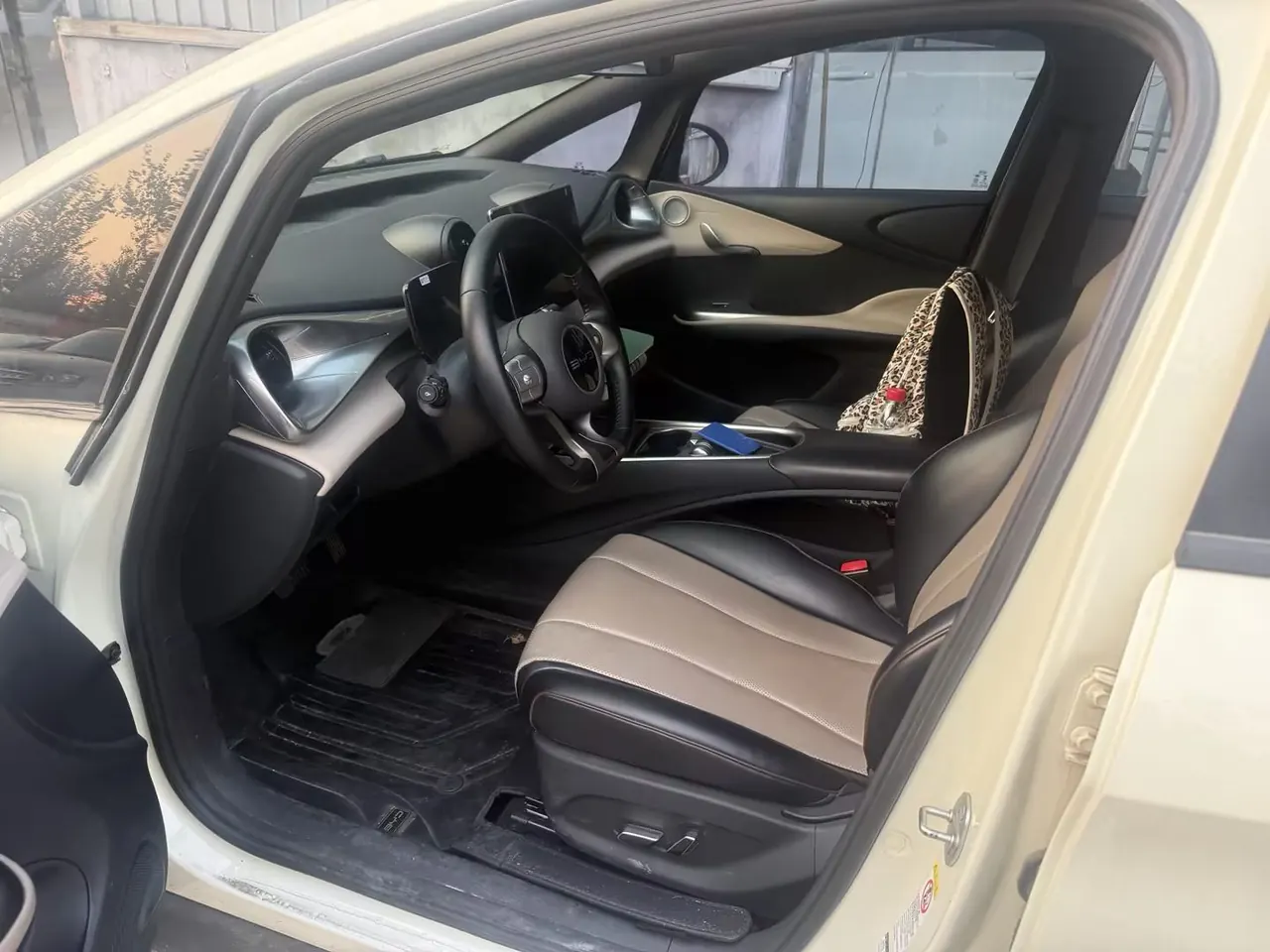 BYD 2023 Dolphin 420km Fashion Edition Automatic 3