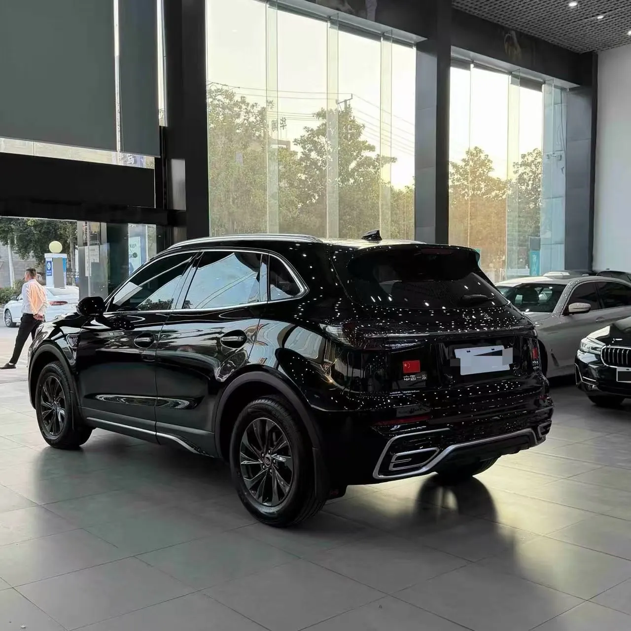 HongQi 2025 HS5 2.0T Two-Drive Flag Enjoy Pro Edition Automatic Gear 8
