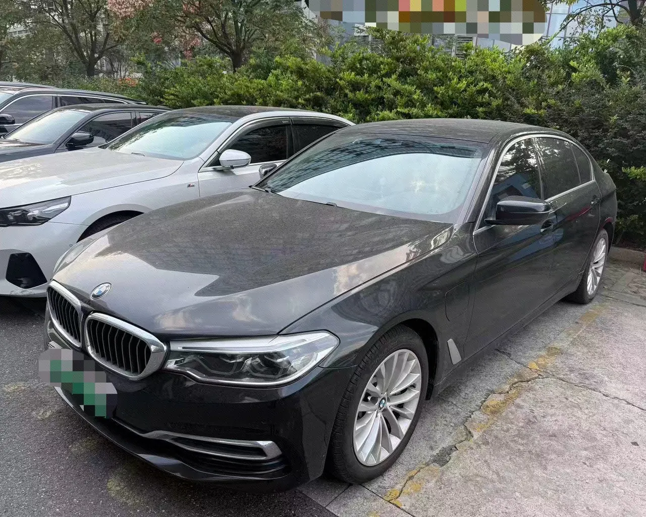 BMW 5 series new energy 2020 530Le 2.0T luxury package automatic gear - View 1
