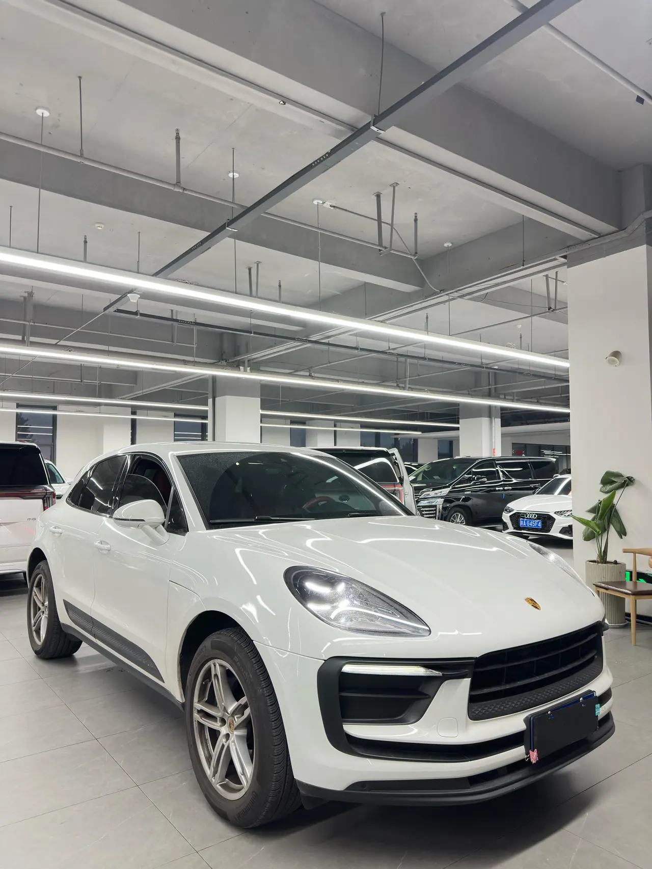 Porsche Macan (Imported) 2023 Macan 2.0T Automatic Gear 3