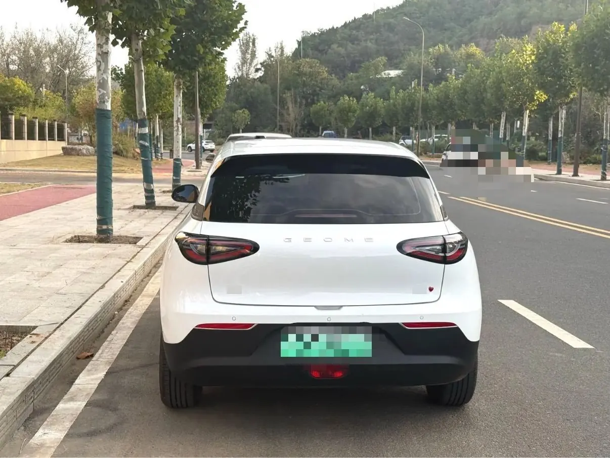Geely 2025 Star Wish 310km Youth Edition Automatic Gear 8