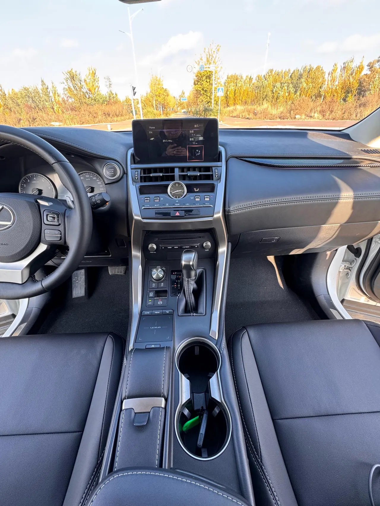 Lexus NX (Imported) 2020 NX200 2.0 Stepless Front Edition Automatic Gear 14